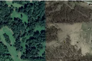 327 Sugar Run Rd, Franklin Township, PA 15370 - Photo 50