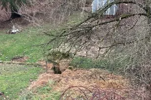 212 Parkfield St, Pittsburgh, PA 15210 - Photo 26