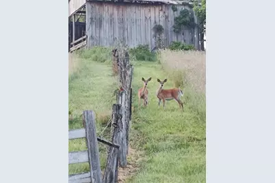 195 W & W Railroad Road, Washingtn-Ruff Creek, PA 15364 - Photo 16