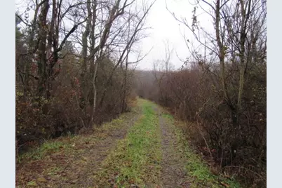 1047 Cinder Road, Dunbar Township, PA 15431 - Photo 6