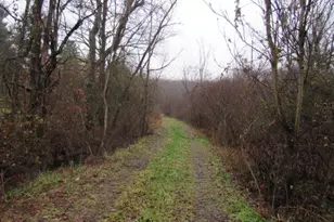 1047 Cinder Rd, Dunbar Township, PA 15431 - Photo 6