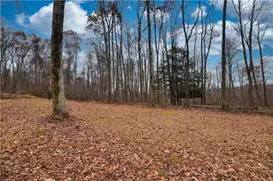 3172 Old Rte 8, Victory Township, PA 16342 - Photo 4