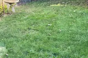 5220 Holmes St, Pittsburgh, PA 15201 - Photo 18