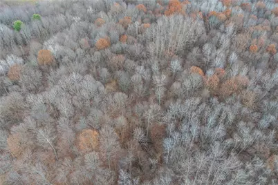 0 Kitch Rd At Linn Tyro Rd, Otter Creek Township, PA 16125 - Photo 16