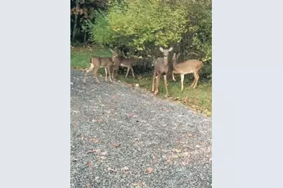 3906 Master Road, Richland Township, PA 16373 - Photo 30