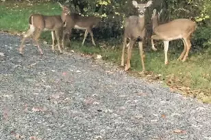 3906 Master Rd, Richland Township, PA 16373 - Photo 30