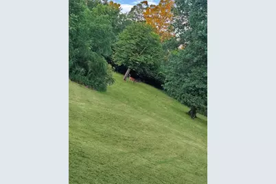 1305 Mercer Ave, Hermitage, PA 16148 - Photo 8