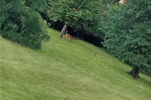 1305 Mercer Ave, Hermitage, PA 16148 - Photo 8