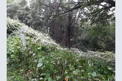 0 Hartford St, Pittsburgh, PA 15203 - Photo 24