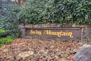 2806 Swiss Mountain Dr, Seven Springs, PA 15622 - Photo 2