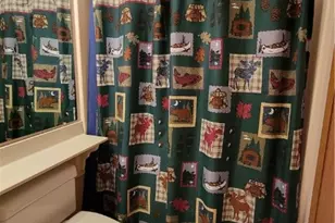 2806 Swiss Mountain Dr, Seven Springs, PA 15622 - Photo 22