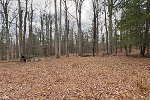 776 State Route 271, Ligonier Township, PA 15658 - Photo 26