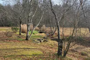 239 Leppert Rd, Shade Township, PA 15926 - Photo 40