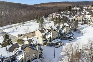 8011 Meadowridge Dr, Seven Springs, PA 15622 - Photo 44