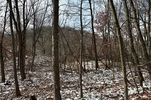 716 Rte 356, Allegheny Township, PA 15613 - Photo 6