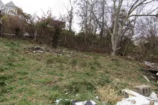 811 Prospect Ave, Charleroi Boro, PA 15022 - Photo 4