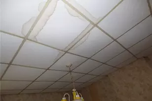 320 Lorenz Ave, Elliott, PA 15220 - Photo 12