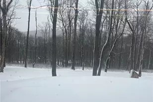 274 Alpine Heights Rd, Saltlick Township, PA 15622 - Photo 32