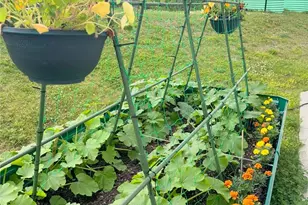 257 Stoup Rd, Adams Township, PA 16046 - Photo 46