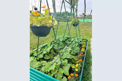 257 Stoup Road, Adams Township, PA 16046 - Photo 46