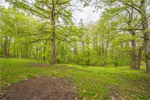297 Alamae Lakes Rd, South Franklin, PA 15301 - Photo 42