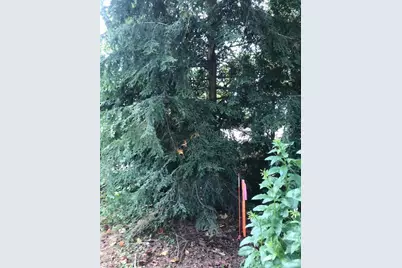 113 Nicola Ln, White Township, PA 15701 - Photo 4