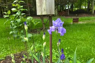 216 Clubhouse Dr, Loyalhanna, PA 15681 - Photo 48