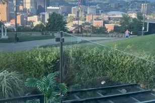 15 Bailey Park Ln, Pittsburgh, PA 15210 - Photo 48