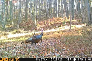 180 Hemlock Rd, Fairview Township, PA 16050 - Photo 24