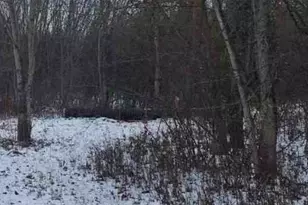 2008 Sunny Ave Ext, New Castle, PA 16101 - Photo 1