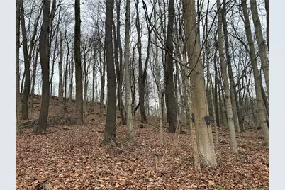 Bieda Lot Davis School Road, South Strabane, PA 15301 - Photo 2