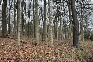 Bieda Lot Davis School Rd, South Strabane, PA 15301 - Photo 1