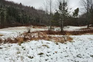 845 Mottern Rd, Punxsutawney Area School District, PA 15767 - Photo 28