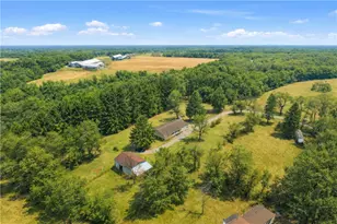 353 Thompson Hill Rd, Independence, PA 15001 - Photo 50