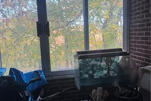 8017 Chaske St, Verona, PA 15147 - Photo 6