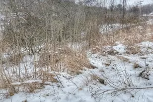 105 Penn Ave, Bentleyville, PA 15314 - Photo 10