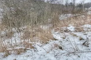 105 Penn Ave, Bentleyville, PA 15314 - Photo 10