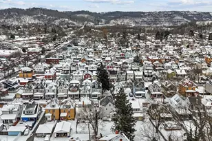 16 Admiral Dewey Ave, Pittsburgh, PA 15205 - Photo 46