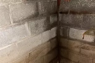 88 Fleming Rd, Grove City Boro, PA 16127 - Photo 20