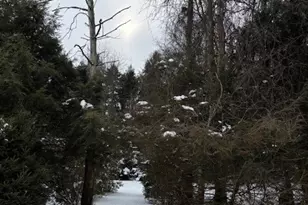 597 Mount Nebo Church Rd, East Huntington, PA 15612 - Photo 16