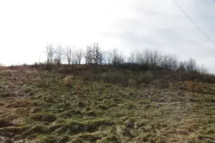 213 Bauer Ln, East Huntington, PA 15683 - Photo 4