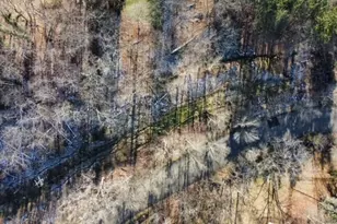 0 Evergreen Rd, Ross Twp, PA 15237 - Photo 8