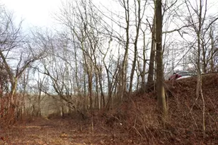 0 Woodland Rd, Harmony Township, PA 15003 - Photo 1