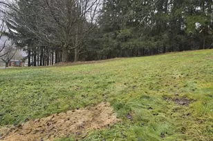 916 Indiana Ave Ext, Avonmore, PA 15618 - Photo 28