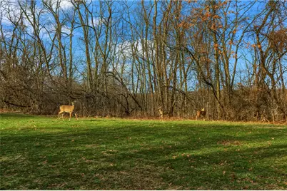 2814 Leona Lane, Robinson Twp, PA 15108 - Photo 48