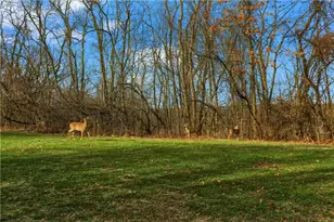 2814 Leona Ln, Robinson Twp, PA 15108 - Photo 48