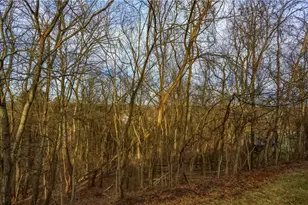 2814 Leona Ln, Robinson Twp, PA 15108 - Photo 10