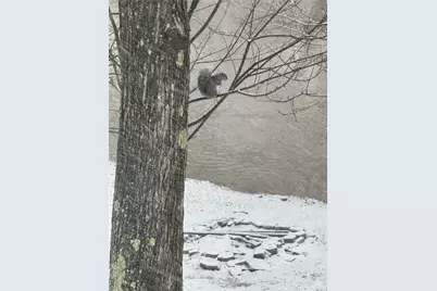 3160 William Flynn Hwy, Slippery Rock, PA 16057 - Photo 30