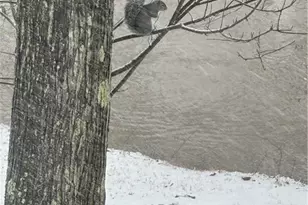 3160 William Flynn Hwy, Slippery Rock, PA 16057 - Photo 30