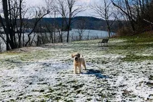 107 Center St, East Bethlehem, PA 15348 - Photo 34